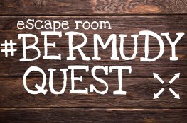 Bermudy